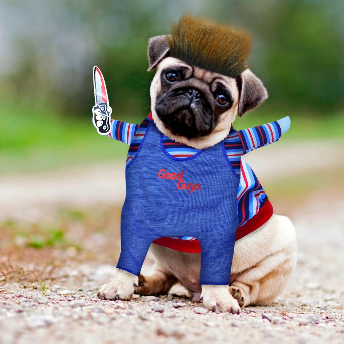 🎃🦇🕷️🎃 Disfraz Chuky Mascota + Regalo 🎃🦇🕷️🎃